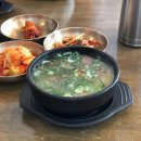 지족로(유성-56) 이미지