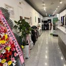 드림스크린 이미지