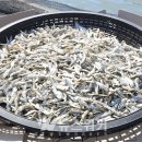 완도종합식품 이미지