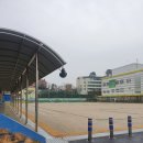 월평초등학교 티스토리