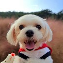 고창미용실 이미지