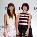 빅토리아 이미지