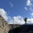 꼬부기부엌 | [제주펜션] 스테이 더하다 / 구좌펜션, 동쪽 에어비앤비, 감성숙소, 코난비치숙소, 구좌해변펜션, 제주...