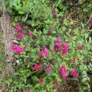 한밭뜰 8월 정모후기 이미지