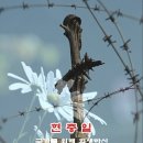 부현사 | 世傳奴婢(세전노비)
