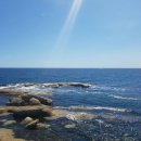 천진해변 이미지