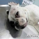 우산동물병원 이미지