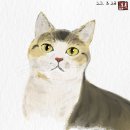 드로잉&오일 파스텔 배우기 이미지