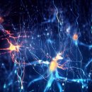 속편한내과마취통증의학과의원 | 분당 정자역 성상신경절차단술, 어지럼증이 반복된다면 자율신경을 의심하세요