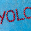 YOLO(욜로)