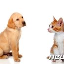 (주)팜메디 이미지