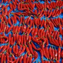 신흥건조기 이미지