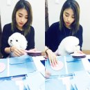 우주팔