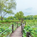 백제문화단지-부소산성-궁남지-정림사지-백제문화단지 이미지