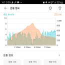 나리 신령수 이미지