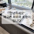 파르마 스테이 네이버블로그