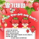 베비텔선경어린이집 이미지