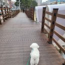 장유1동행정복지센터 화장실 이미지