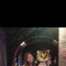 뽀미농장 이미지