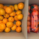 송파 보건지소 이미지