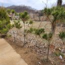 연천공인중개사사무소 이미지