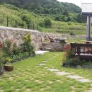 사랑이 가득한 집 이미지