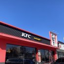 클래식 타워 | Kfc 포항터미널점 징거버거 징거타워버거 클래식징거통다리 콤보 할인쿠폰 사용 후기