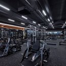 피트니스 REX 이미지