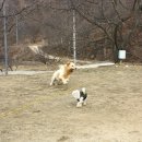더봄캠프