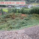 대곡면-10 이미지