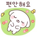 도담 태권도 이미지