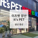 이츠펫(It's Pet) 네이버블로그