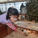 부천농장 | 아이와 함께 즐기는 특별한 동물 체험 "나눔농장 부천" 방문 후기