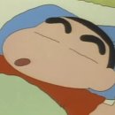 고냥이네 이미지