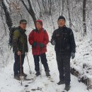 우면산둘레길 이미지