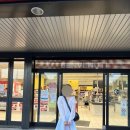 선앤지 | 볼앤체인 에코백 M, L 사이즈 비교, 엄마랑 커플 가방, 면세점 구매 후기