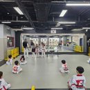 세종 고운 태권도 이미지