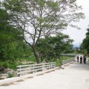 샘골유원지 Daum카페