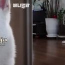 이호길농장 뉴시스