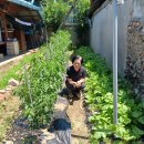 # 금포국민학교졸업 장세영이용소 금빛대학졸업.&amp; 이미지