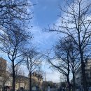 Dear My Blank 이미지