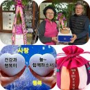 결혼50주년 이미지