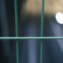 매그네이트 이미지