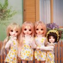 묘냥묘냥 이미지