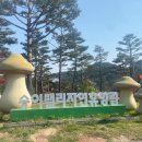 레포밸리 이미지