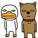 잭인더쇼 후기