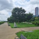 서림 행정사사무소 이미지