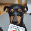 드럼통92 이미지