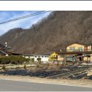 무릉도원면-48 이미지