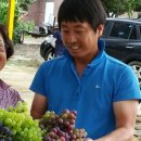 예은농장 이미지